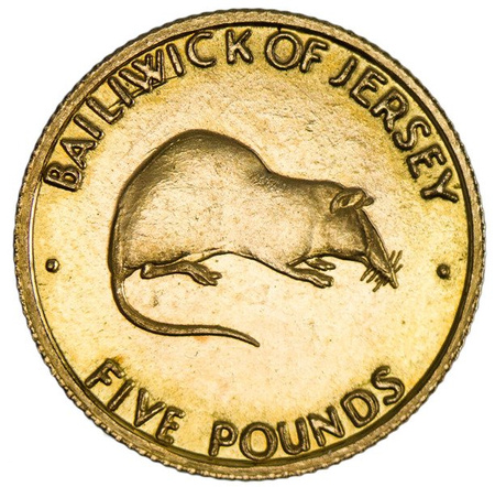 Jersey 5 Funtów 1976 - Ryjówka