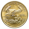 USA 5 Dolarów 2020 - American Gold Eagle