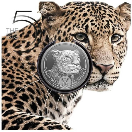 RPA 5 Rand 2023, Leopard, Wielka Piątka II