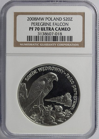 Polska 20 Złotych 2008 rok - Sokół Wędrowny - NGC PF 70