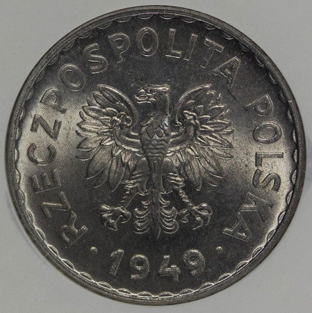 Polska 1 Złoty 1949 b.z. rok - NGC MS 65