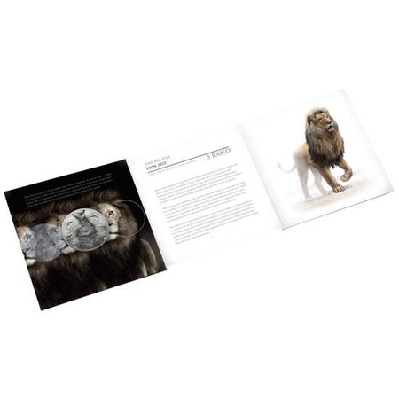 RPA 5 Rand 2022, Lew, Wielka Piątka II