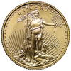 USA 5 Dolarów 2020 - American Gold Eagle
