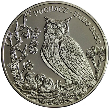 Polska 20 Złotych 2005 - Puchacz